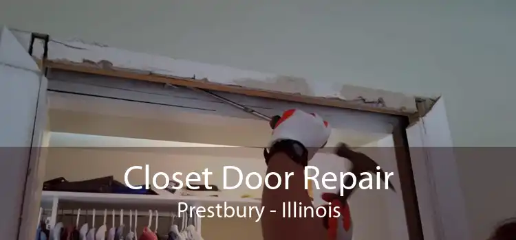 Closet Door Repair Prestbury - Illinois