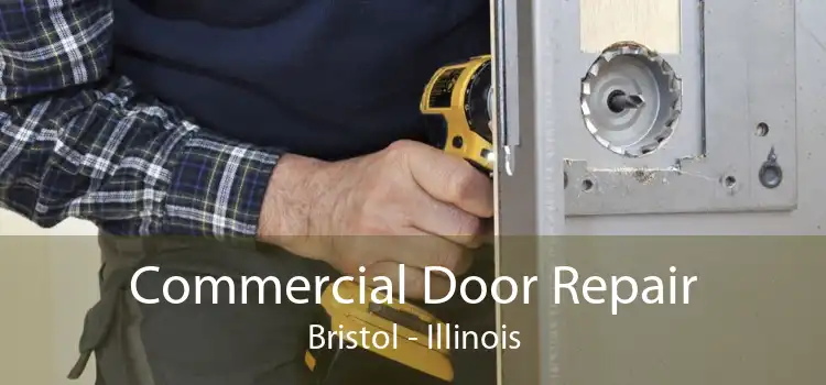 Commercial Door Repair Bristol - Illinois