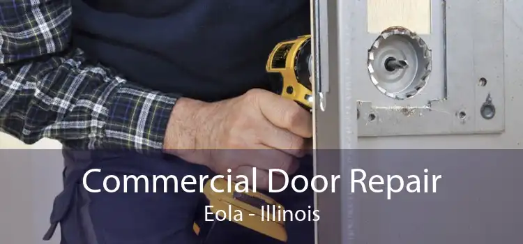 Commercial Door Repair Eola - Illinois