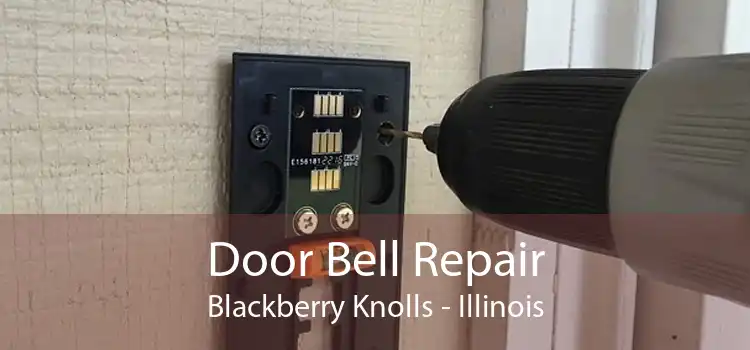 Door Bell Repair Blackberry Knolls - Illinois