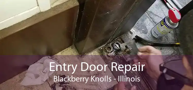 Entry Door Repair Blackberry Knolls - Illinois