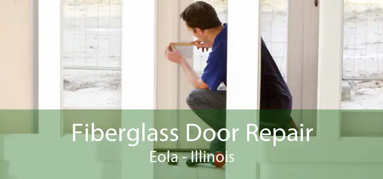 Fiberglass Door Repair Eola - Illinois