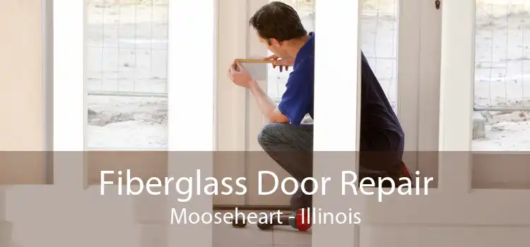 Fiberglass Door Repair Mooseheart - Illinois