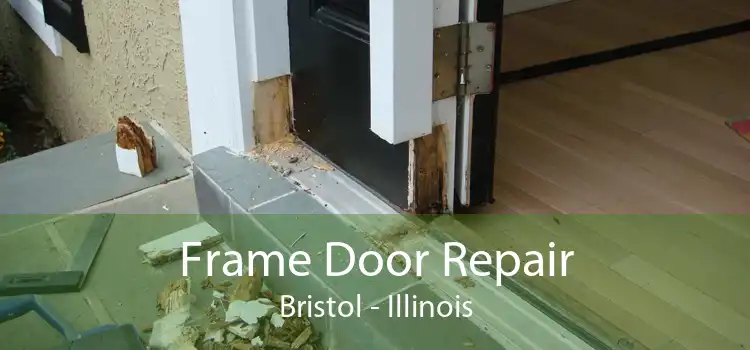 Frame Door Repair Bristol - Illinois