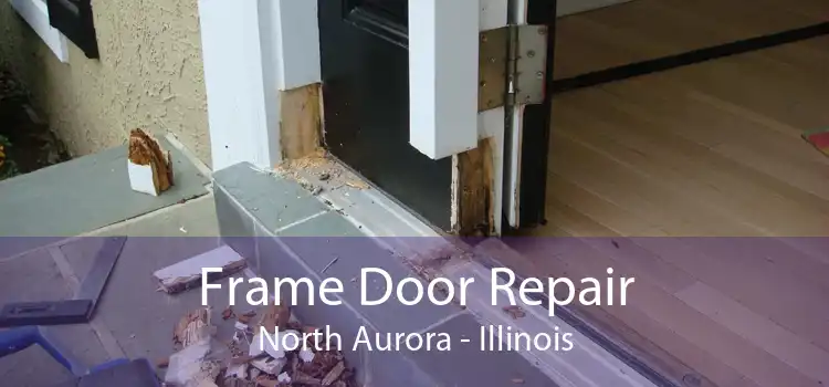 Frame Door Repair North Aurora - Illinois
