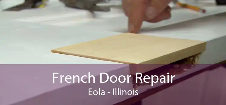 French Door Repair Eola - Illinois
