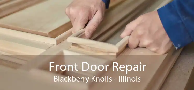 Front Door Repair Blackberry Knolls - Illinois
