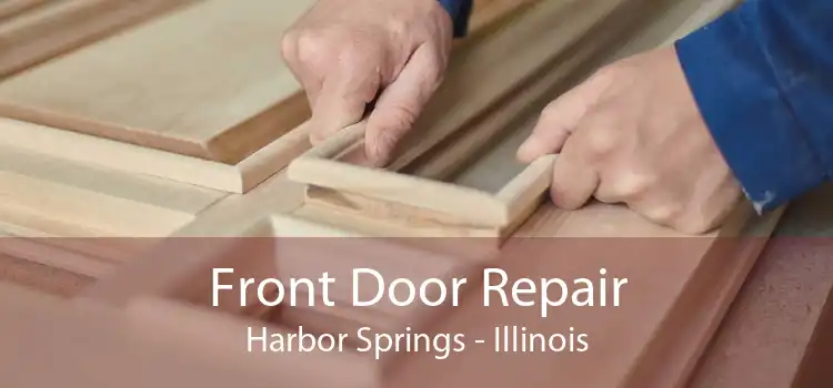 Front Door Repair Harbor Springs - Illinois