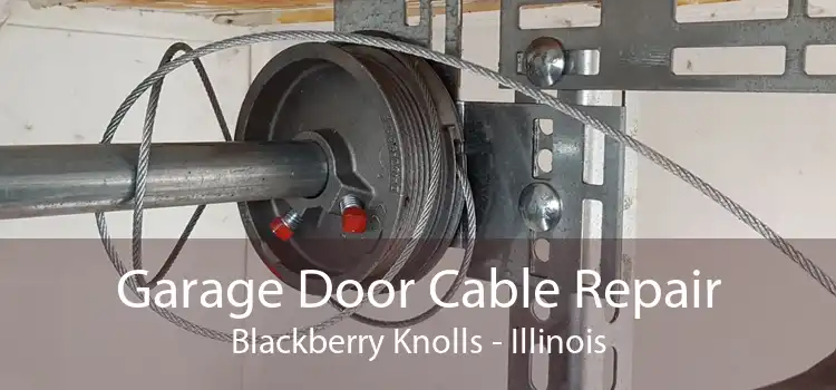Garage Door Cable Repair Blackberry Knolls - Illinois