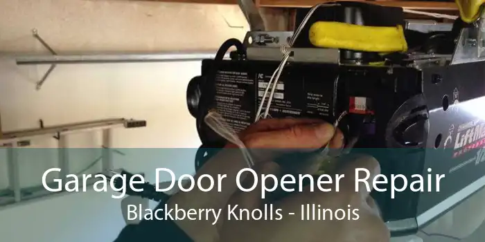 Garage Door Opener Repair Blackberry Knolls - Illinois