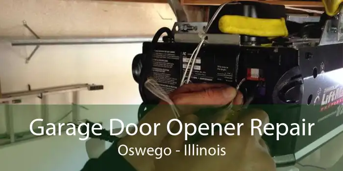 Garage Door Opener Repair Oswego - Illinois