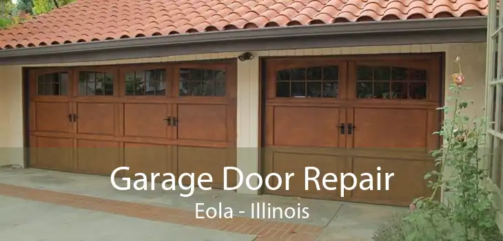 Garage Door Repair Eola - Illinois