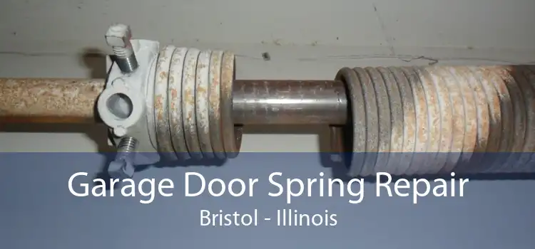 Garage Door Spring Repair Bristol - Illinois
