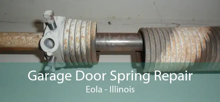 Garage Door Spring Repair Eola - Illinois