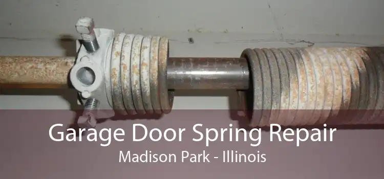 Garage Door Spring Repair Madison Park - Illinois