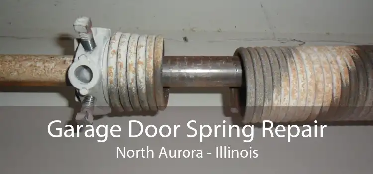 Garage Door Spring Repair North Aurora - Illinois