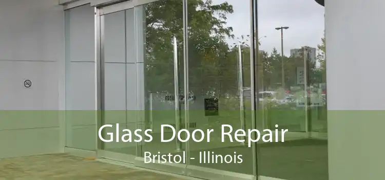 Glass Door Repair Bristol - Illinois