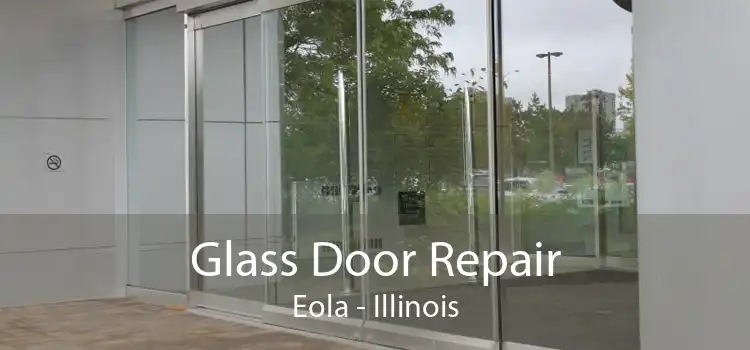Glass Door Repair Eola - Illinois