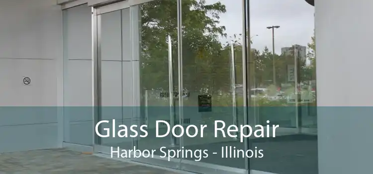 Glass Door Repair Harbor Springs - Illinois