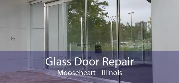 Glass Door Repair Mooseheart - Illinois