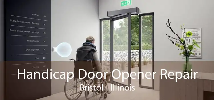 Handicap Door Opener Repair Bristol - Illinois
