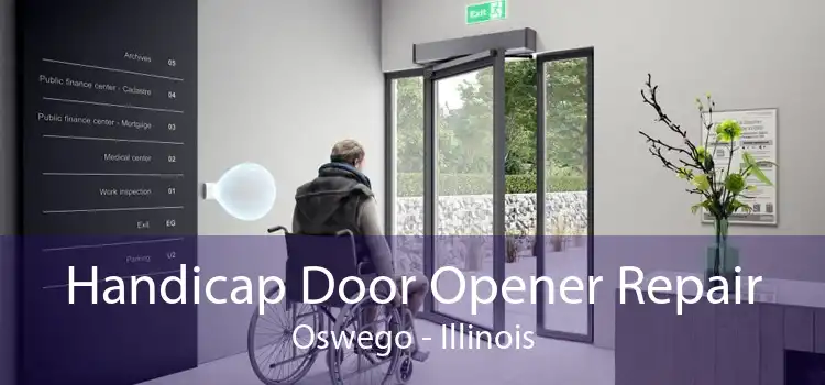 Handicap Door Opener Repair Oswego - Illinois