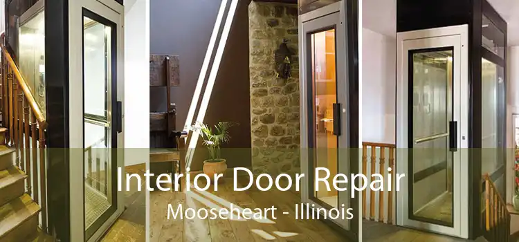Interior Door Repair Mooseheart - Illinois