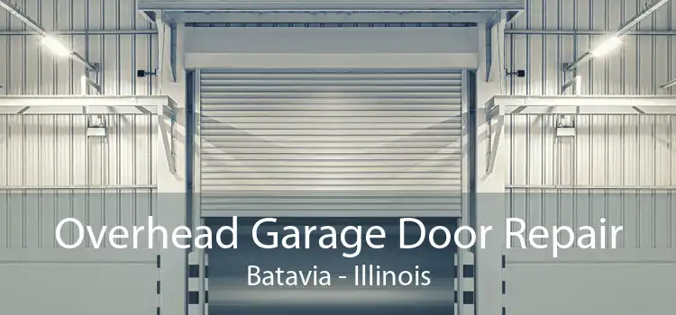 Overhead Garage Door Repair Batavia - Illinois