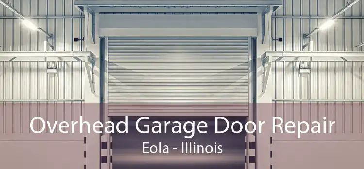 Overhead Garage Door Repair Eola - Illinois