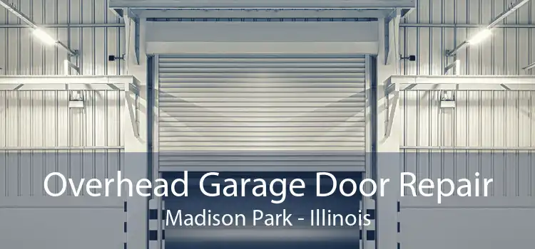 Overhead Garage Door Repair Madison Park - Illinois