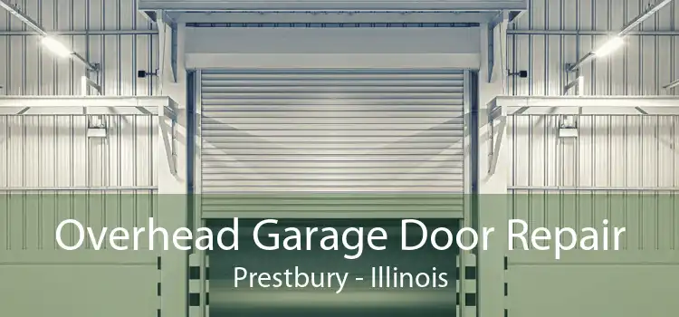 Overhead Garage Door Repair Prestbury - Illinois