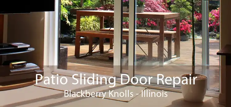 Patio Sliding Door Repair Blackberry Knolls - Illinois