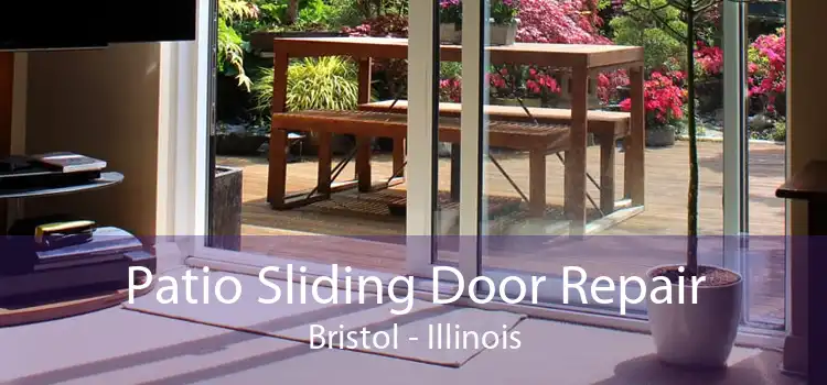 Patio Sliding Door Repair Bristol - Illinois