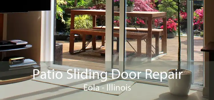 Patio Sliding Door Repair Eola - Illinois