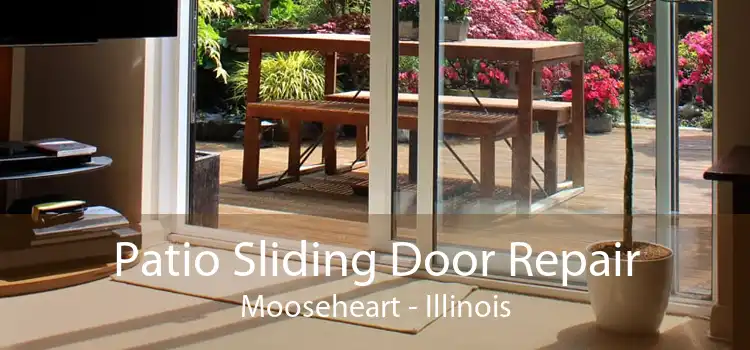 Patio Sliding Door Repair Mooseheart - Illinois