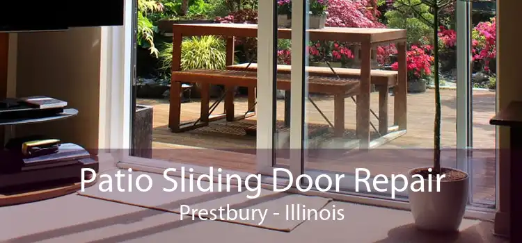 Patio Sliding Door Repair Prestbury - Illinois
