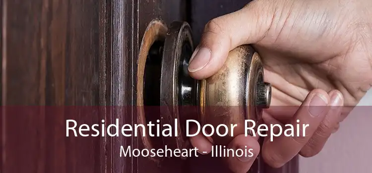 Residential Door Repair Mooseheart - Illinois