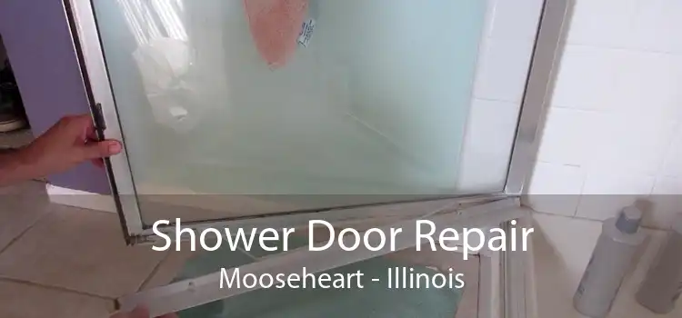 Shower Door Repair Mooseheart - Illinois