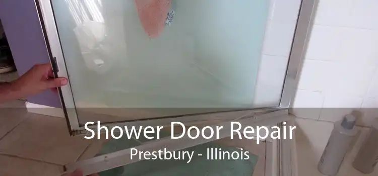Shower Door Repair Prestbury - Illinois