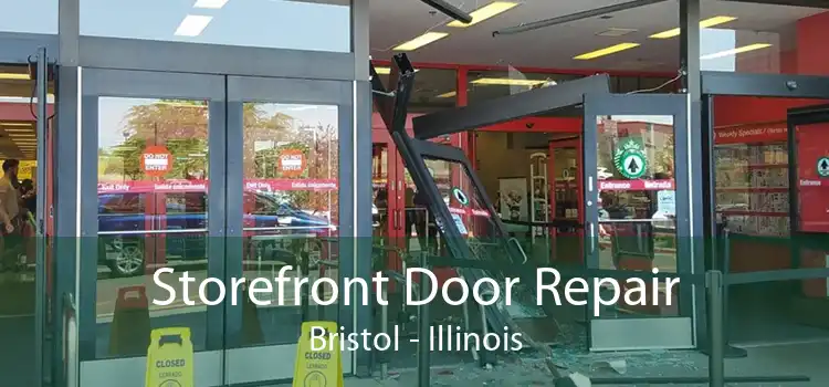 Storefront Door Repair Bristol - Illinois