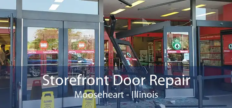 Storefront Door Repair Mooseheart - Illinois