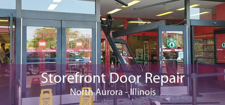 Storefront Door Repair North Aurora - Illinois