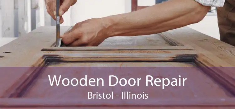 Wooden Door Repair Bristol - Illinois