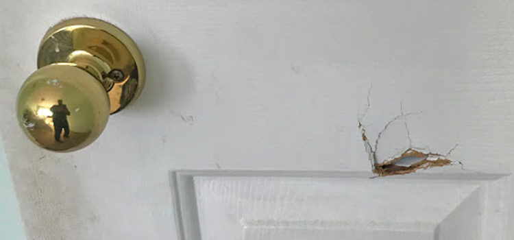 interior door hole repair Eola