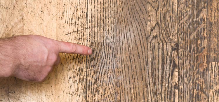 Wood Door Scratch Repair in Eola